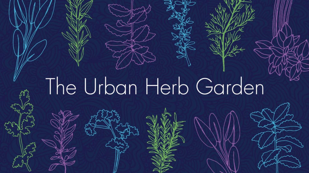 Bringing The Outdoors In With Your Urban Garden