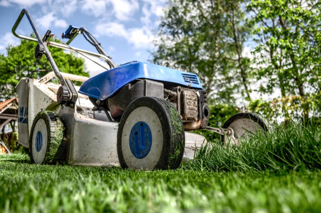 LAWN CARE: The 8 Best Lawn Mowers for Homeowners
