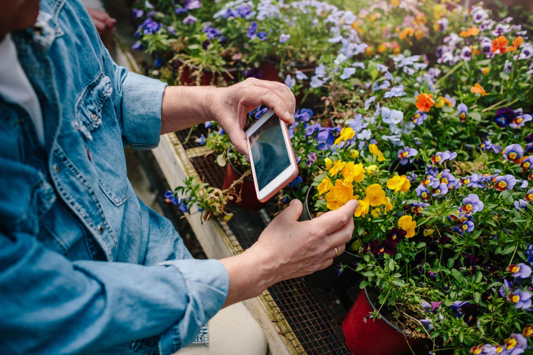 7 Gadgets For Your Garden