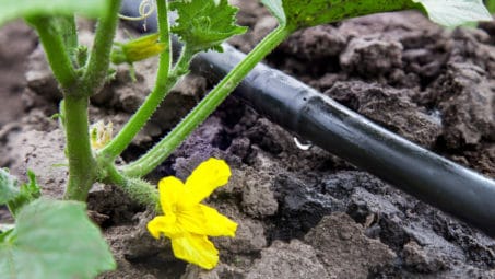How to Pick the Perfect Drip Irrigation System