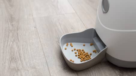 How to Choose an Automatic Pet Feeder