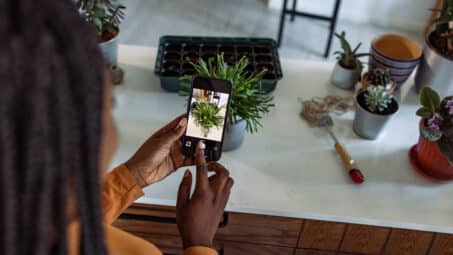 Keep Your Plant Babies Alive With a House Plant App