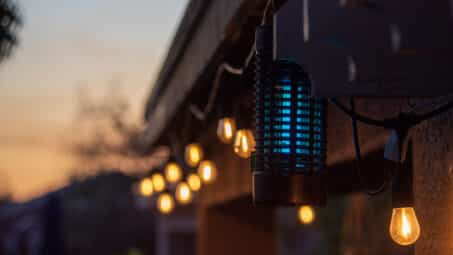 Find a Bug Zapper for Inside or Outside