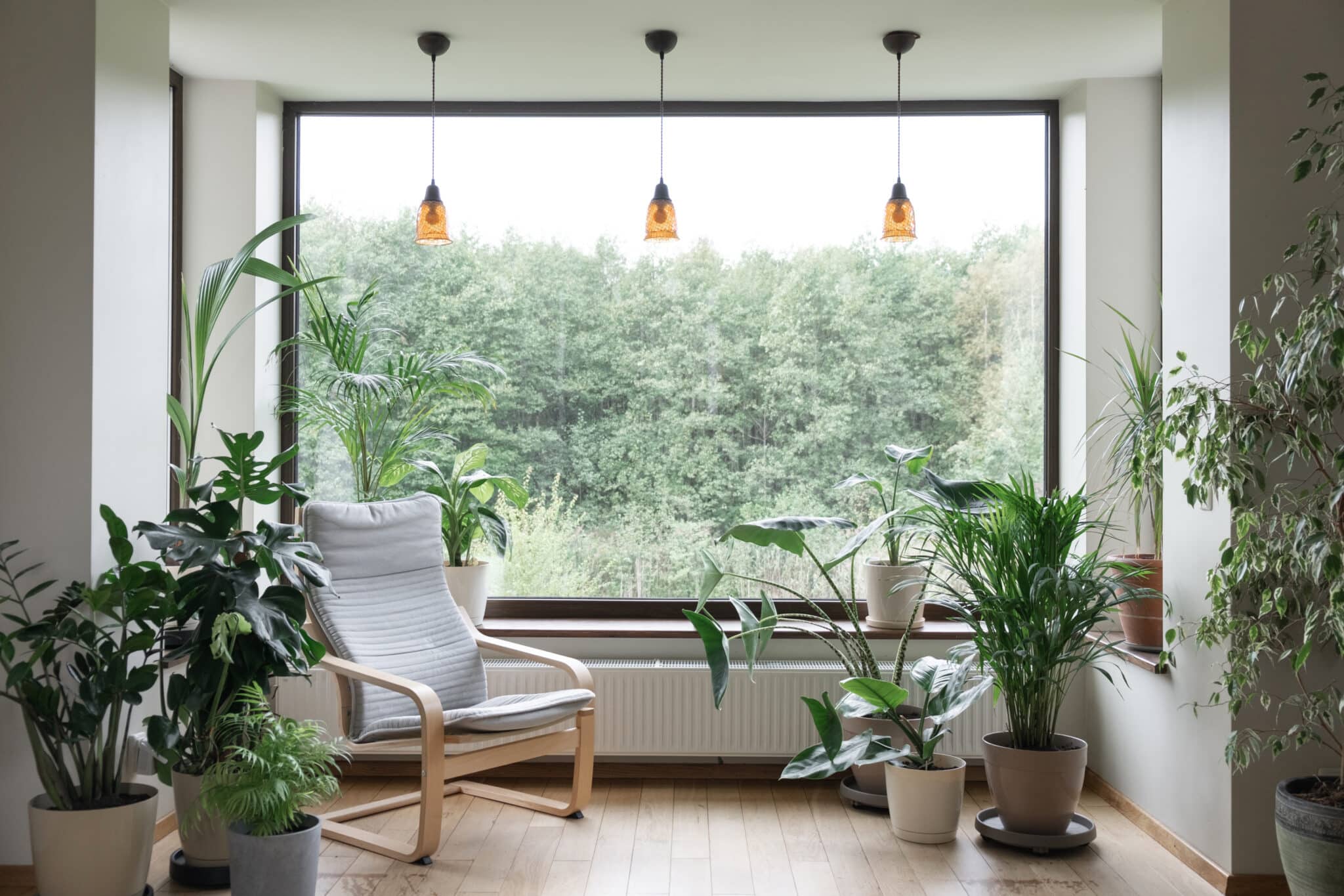 Eco-Friendly Decor Buying Guide