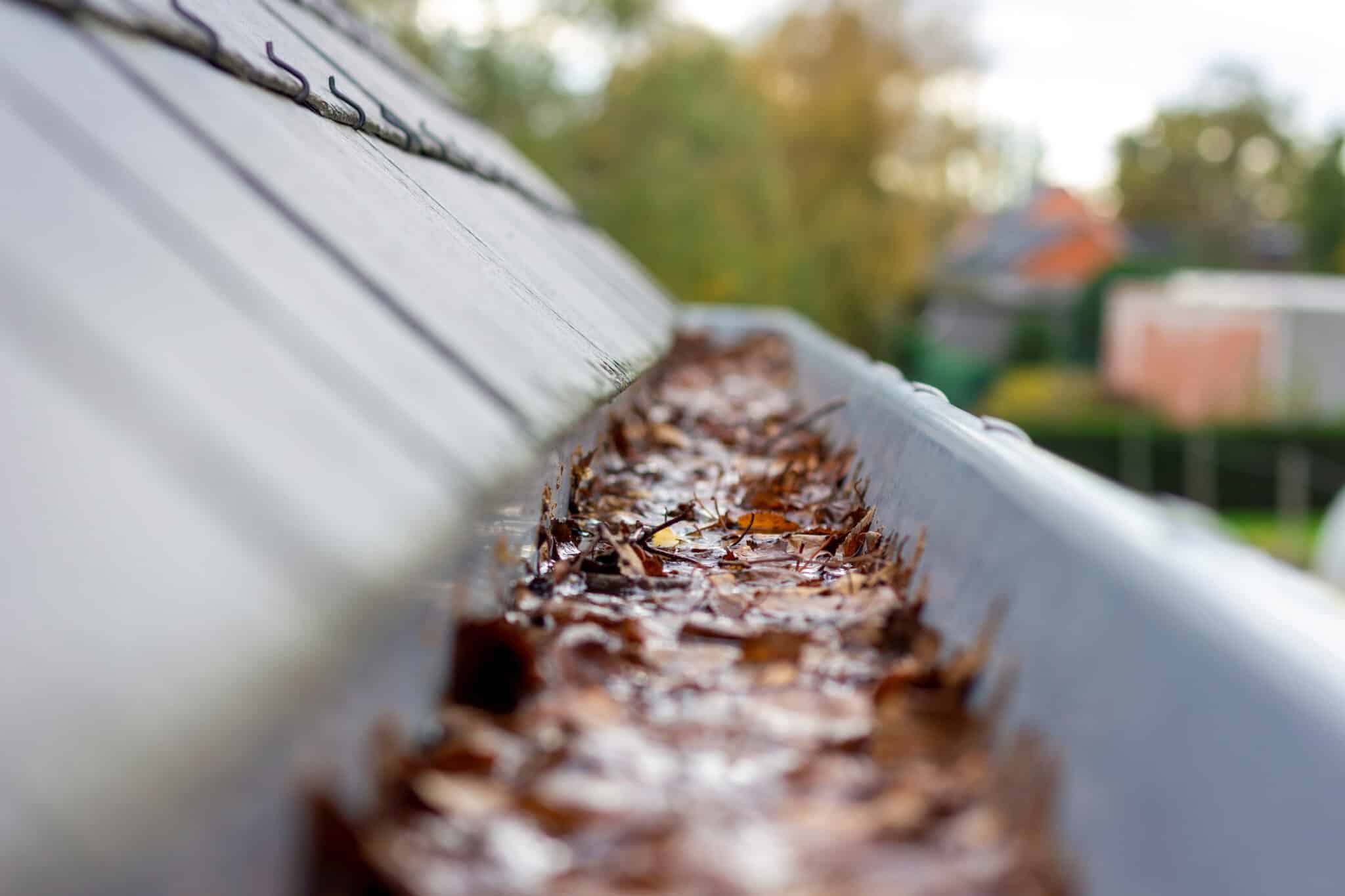 Great Gutter-Cleaning Tools To Make Your Life Easier