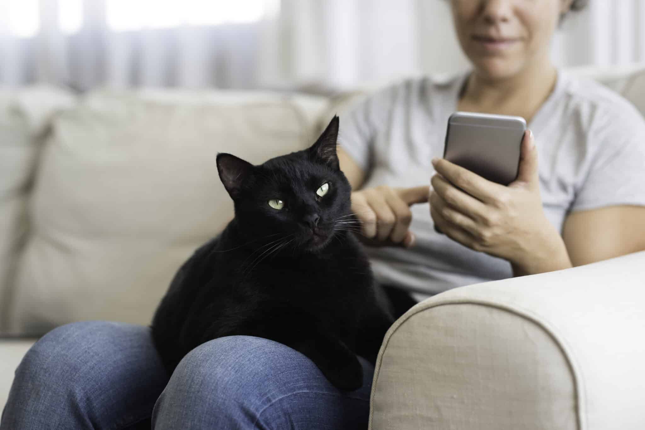 10 Pet Apps for Pet Parents